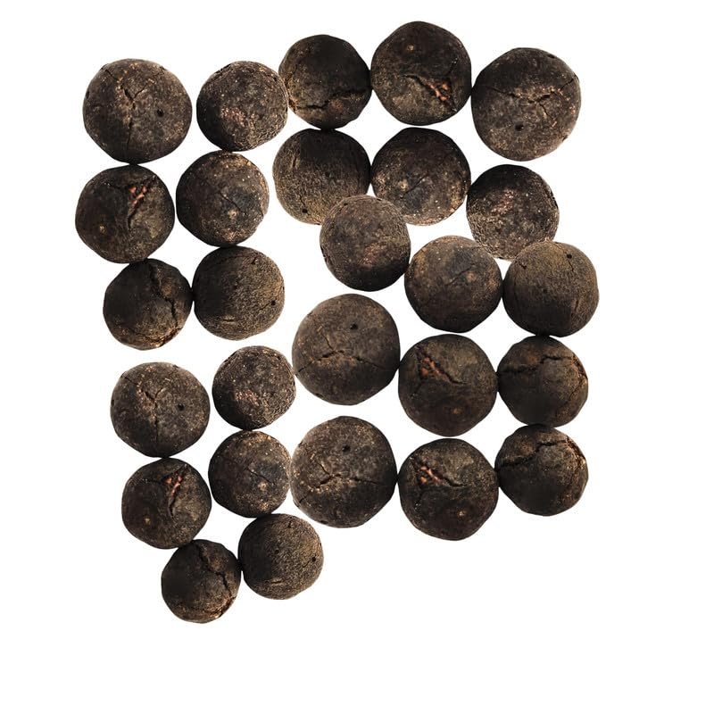 Wonder Care 27 Beads Natural Rudraksha Fruit Nepali Rudraksh Beads with Natural Raw Shell Original Rudraksha for Mala and Bracelet