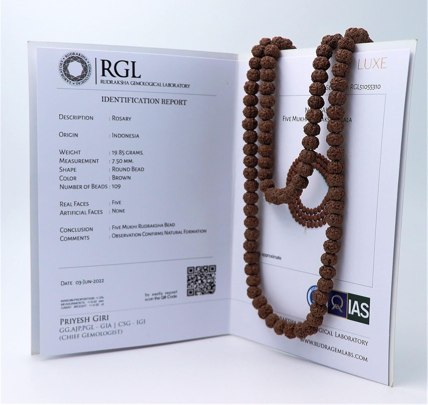 Rudraksha Mala 108+1 Beads (Pathri Mala/Chikna Mala) Iso Lab Certified, Brown