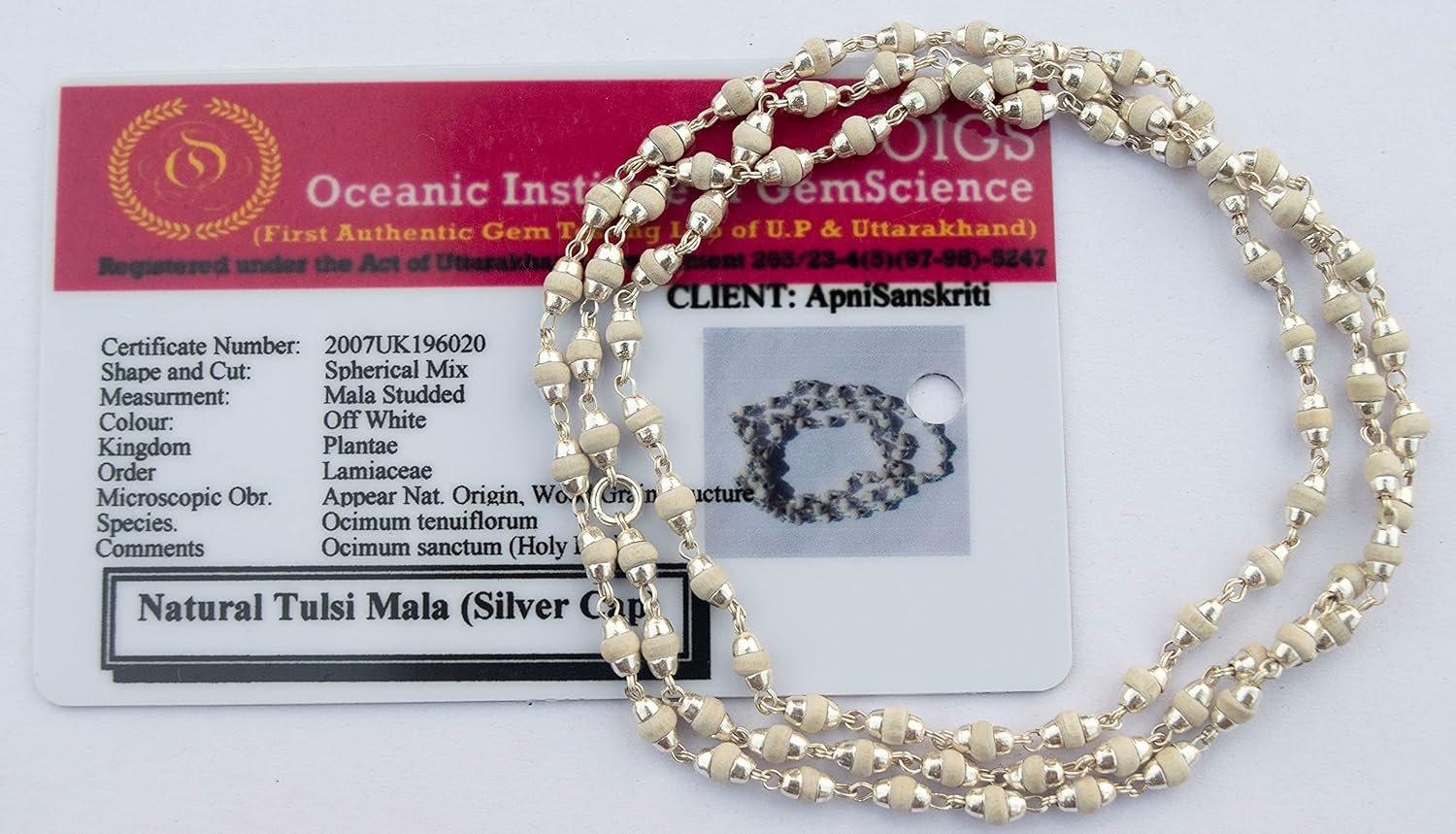 Apnisanskriti Lab Certified 55 Beads White Tulsi Mala in Pure Silver Caps | Natural White Tulsi Beads (Zero Size,Pure Silver) – Pack of 1